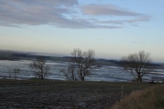DSC03550