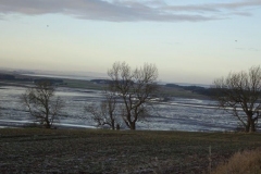 DSC03551