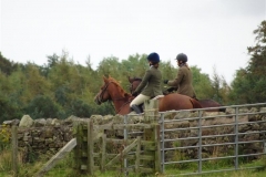 DSC00366_Custom