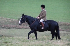 DSC00420_Custom