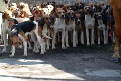 P1000050