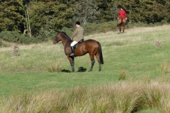 P1000081