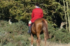 P1000086