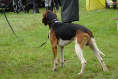 DSC07683