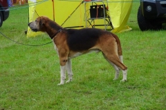 DSC07757