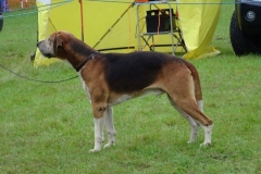 DSC07758