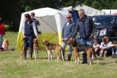 falstone show 19 august 2017