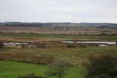 DSC02487