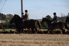 DSC02550