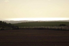 DSC08330