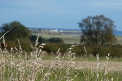 P1000289