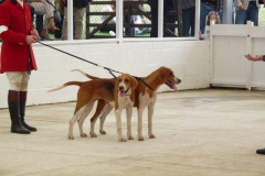 p1020008