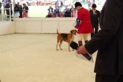 P1030986_Custom