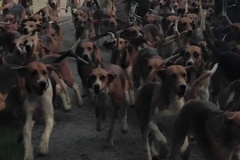 hound exercise bike ride and bbq - 30 may 2015