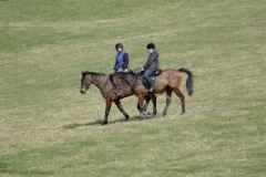 P1040051