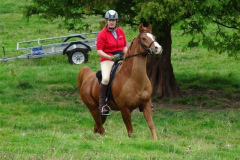 DSC05577_Custom