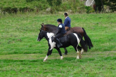 DSC05841_Custom