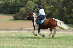 DSC08554
