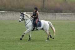 P1000587