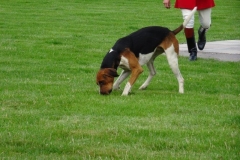 DSC07355