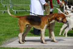 DSC07368