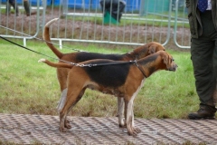 P1010785