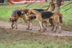 P1010849