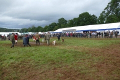 P1010880