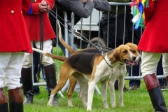 DSC09016_Custom