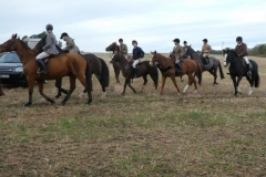 P1000507