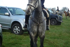 P1020798_Custom