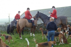P1020830_Custom