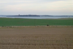 P1020451_Custom