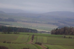 DSC00476