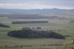 DSC00485