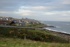 DSC01794