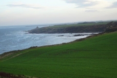 DSC01799