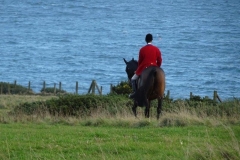 DSC01800