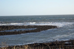 DSC04174
