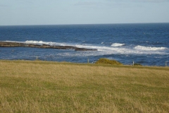 DSC04199