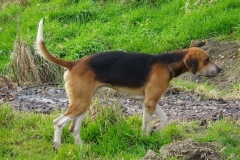 DSC02171