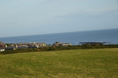 DSC03506