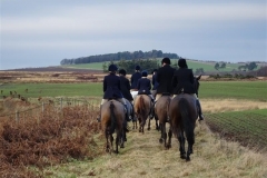 DSC04776_Custom