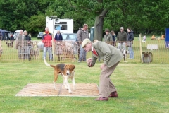 morpeth hound show