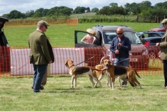 DSC03866_Custom