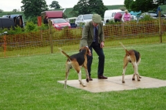 morpeth hound show - sunday 19 june 2016