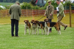 DSC07610_Custom
