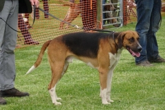 DSC01562
