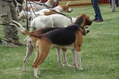 DSC06413