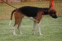 DSC06448